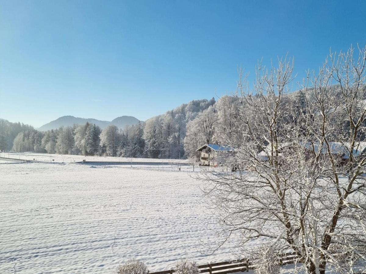 Ferienwohnungen Am Alpenrand Siegsdorf Exteriör bild