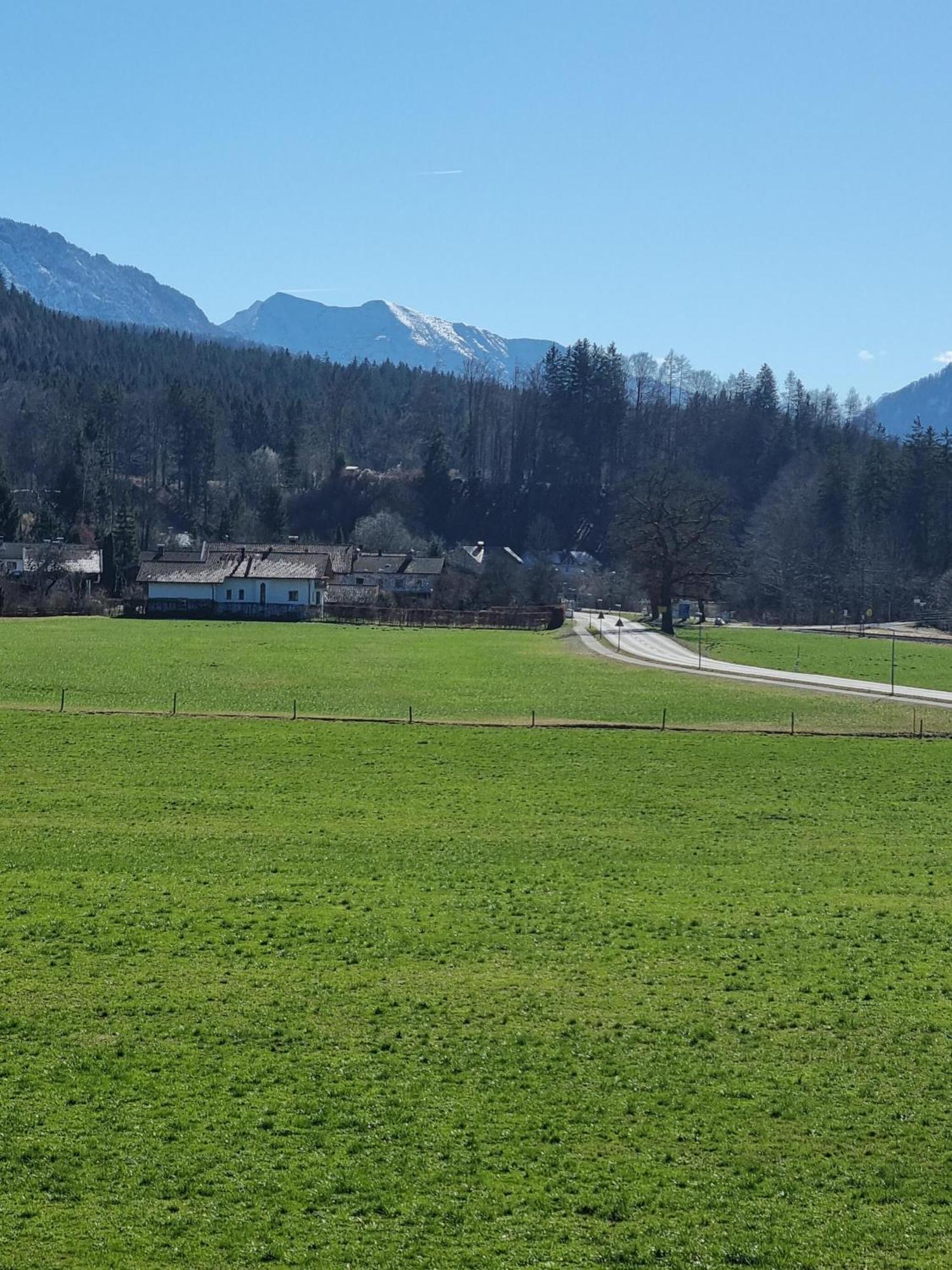Ferienwohnungen Am Alpenrand Siegsdorf Exteriör bild