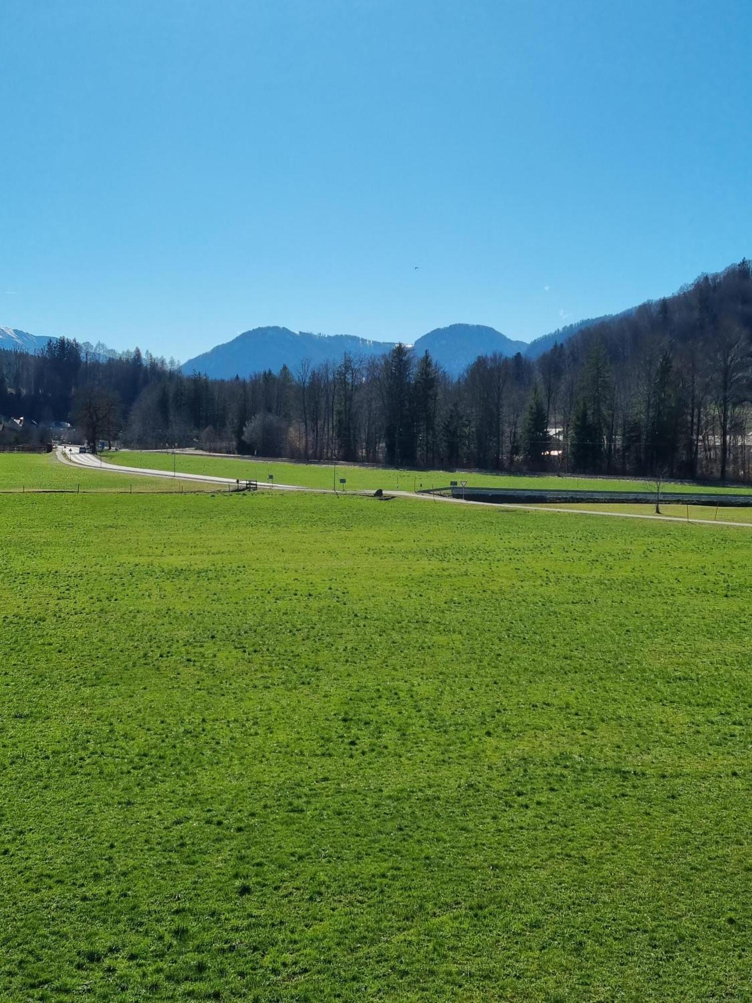 Ferienwohnungen Am Alpenrand Siegsdorf Exteriör bild
