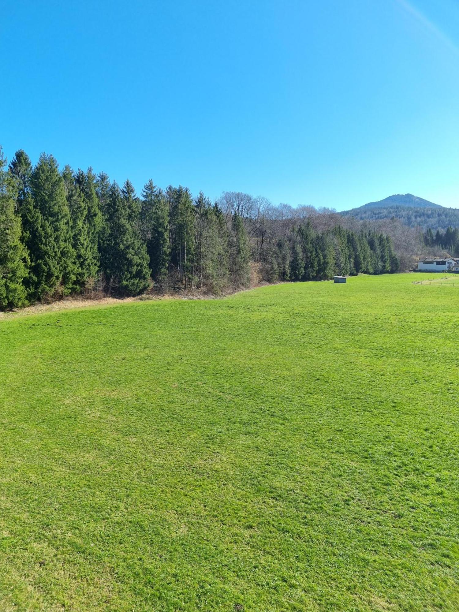 Ferienwohnungen Am Alpenrand Siegsdorf Exteriör bild